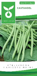 [04-003422] Stam- of struikbonen CASTANDEL - ca 100 gr