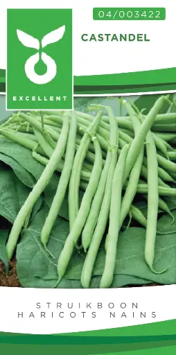 [04-003422] Haricots nains - Mange tout CASTANDEL - ca 100 gr