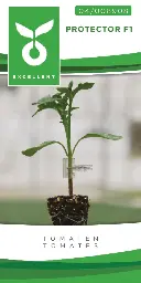 [04-008908] Tomaten onderstam PROTECTOR F1 - ca 25 z