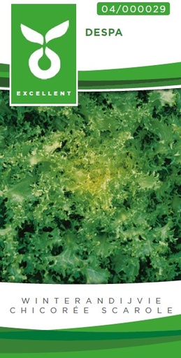 [04-000029] Chicorée scarole d'hiver DESPA (DOREA) - ca. 2 g