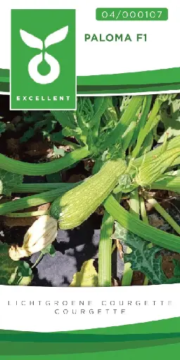 [04-000107] Witte courgette PALOMA F1 - ca 10 z
