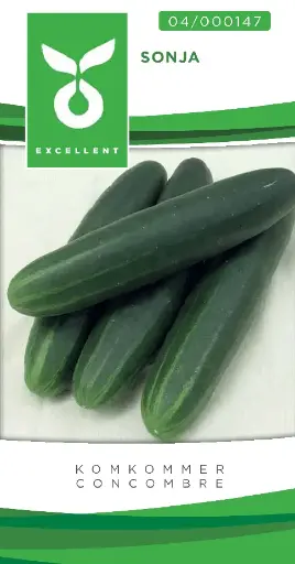 [04-000147] Veldkomkommer SONJA F1 - ca 2 g
