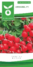 [04-000506] Radijs ANNABEL - ca 500 z
