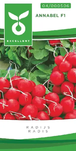 [04-000506] Radis ANNABEL - ca 500 s