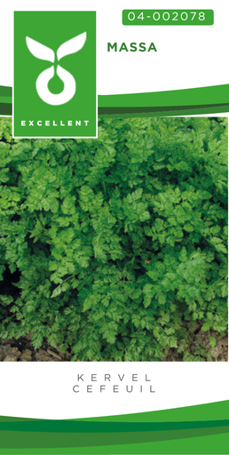 [04-002078] Cerfeuil MASSA - ca 10 g
