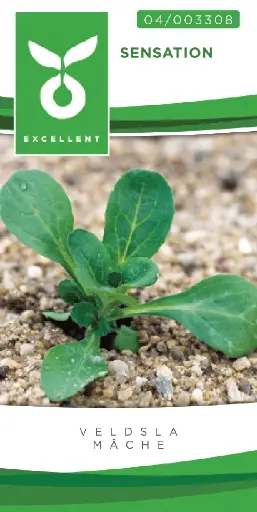 [04-003308] Mâche SENSATION - ca 5 g