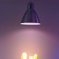 [12-008765] Armature 180 mm