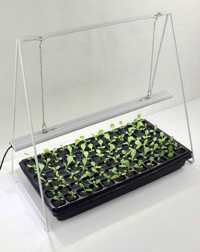 [12-008766] Lampes à croissance LUCIS