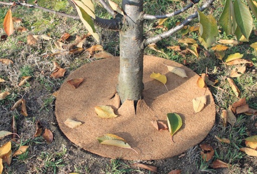 [12-007955] Jute mulchschijven - 10 st