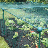 [12-007344] Fruit- of groentekooi L 300 cm - B 100 cm - H 187 cm