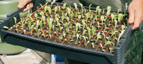 [12-008928] Transportbak met gaten