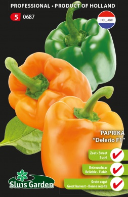 [01-000687] poivron gros à parois DELERIO F1 - ca 10 s