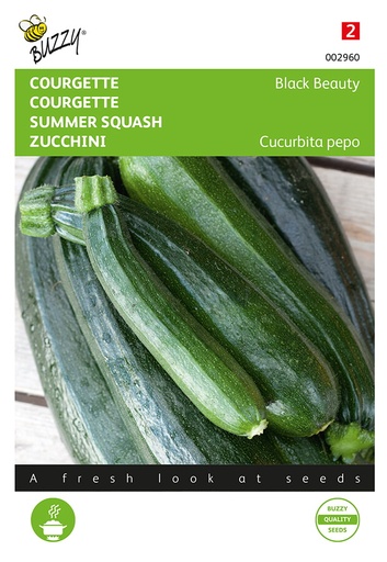 [02-002960] Courgette verte BLACK BEAUTY - ca 5 g