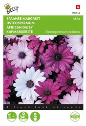 [02-004542] Osteospermum AKILA mix - 10 s