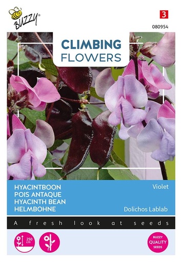 [02-080954] Dolichos Lablab, Hyacinthboon - ca 3 g