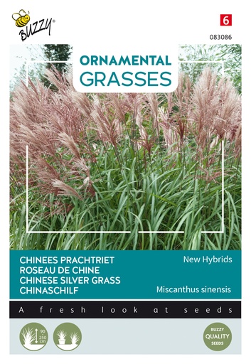 [02-083086] Siergrassen CHINEES PRACHTRIET new hybrids - ca 0,05 g