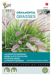 [02-083088] Siergrassen LAMPENPOETSERSGRAS - ca 0,1 g