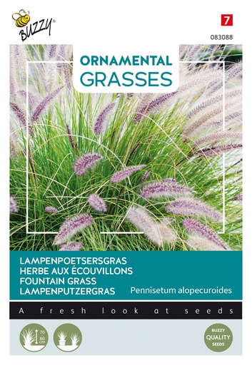 [02-083088] Graminae HERBE AUX ECOUVILLONS - ca 0,1 g