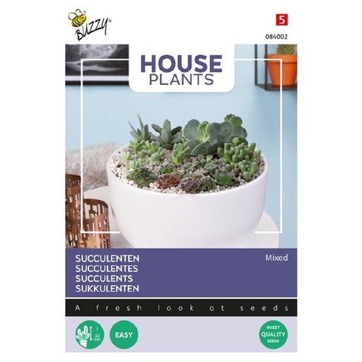 [02-084002] SUCCULENTES - ca 7 s