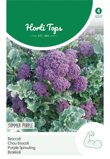 [02-012237] Broccoli SUMMER PURPLE - ca 0,25 g