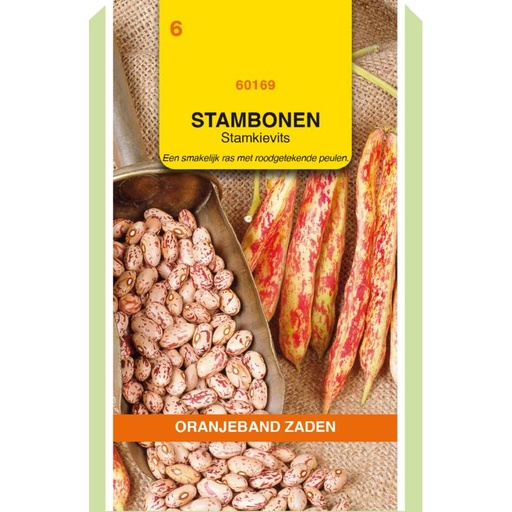 [02-660169] Haricot nain BROWN DUTCH - ca 100 g