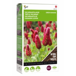 [02-881523] INKARNAATKLAVER - ca 200 g