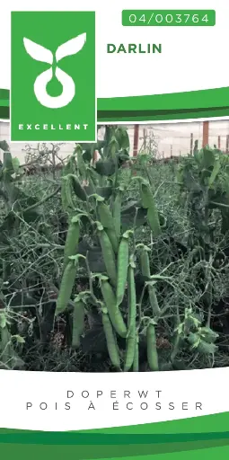 [04-003764] Pois à écosser DARLIN - ca 100 g