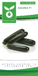 [04-000126] Groene courgette ASCONA F1 - ca 20 z