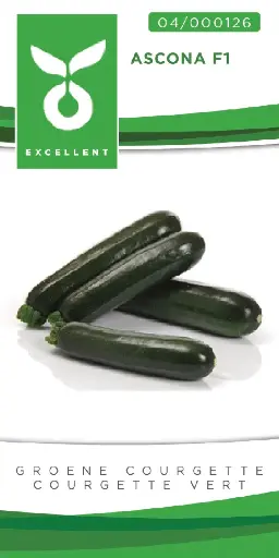 [04-000126] Groene courgette ASCONA F1 - ca 20 z