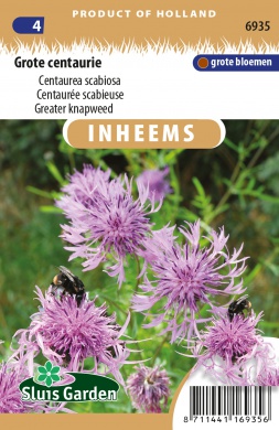 [01-006935] Centaurée scabieuse - ca 0,5 g / 75 s