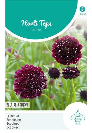 [02-147055] Scabiosa ATROPURPUREA - ca 0,5 g