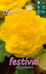 [09-900380] Begonia grandiflora GEEL - 3 st