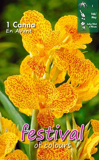 [09-200494] Canna EN AVANT - 1 pc