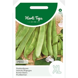 [02-013000] Harricot espagnol EMERGO - ca 100 g