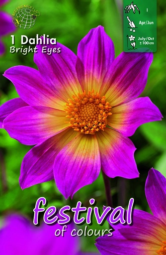 [09-202326] Dahlia BRIGHT EYES - 1 pc