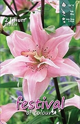 [09-200545] Lis ELODIE - 2 pc