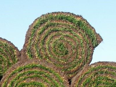 GRASZODEN (indien meer dan 225 m²) - per m²