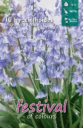 [09-203813] Hyacinthoides HISPANICA BLUE - 10 st