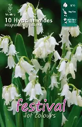 [09-204844] Hyacinthoides HISPANIC WHITE - 10 st