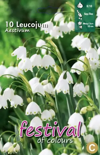 [09-200197] Leucojum AESTIVUM - 10 st