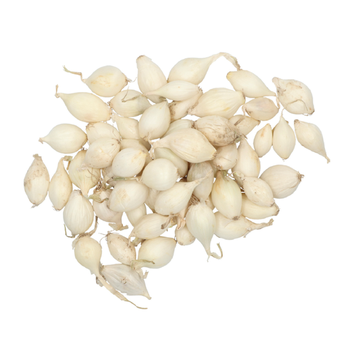 [07-881250] Plantajuin SNOWBALL - ca 250 g