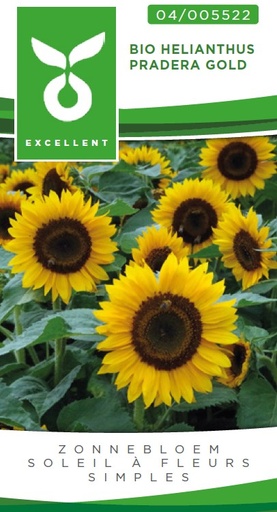 [04-005522] Bio Helianthus PRADERA Gold - ca 20 z