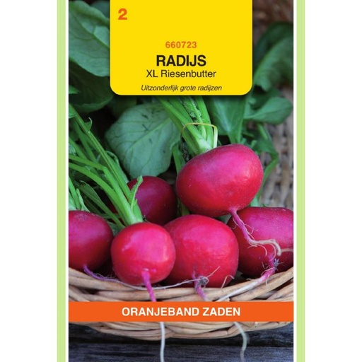 [02-660723] Radis RIESENBUTTER XL - ca 2,5 g