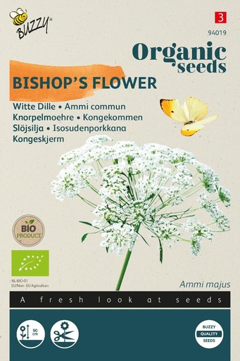 [02-094019] Dille AMMI MAJUS (BIO) - ca 0,08 g