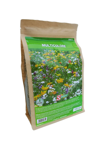 [03-095613] MULTICULORE - ca 50 m²