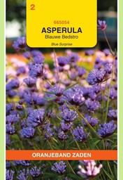 [02-665054] Asperula Bedstro BLUE SURPRISE - ca 0,1 g