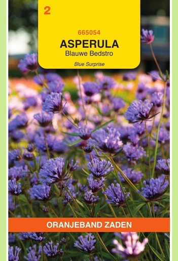 [02-665054] Asperula, Blauwe Bedstro Blue Surprise - ca 0,1g