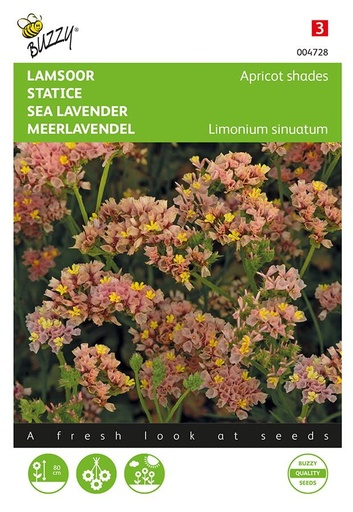 [02-004728] Limonium sinuatum APRICOT SHADES - ca 90 z
