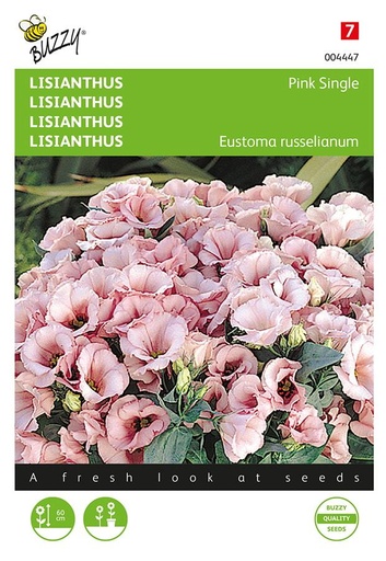 [02-004447] Lisianthus PINK SINGLE - ca 25 z