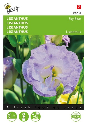 [02-004448] Lisianthus MINI SKY BLUE - ca 25 s